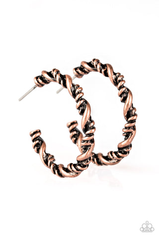 Plainly Panama - Copper Hoop Earrings