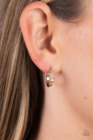 Starfish Showpiece - Multi Mini Hoop Earrings
